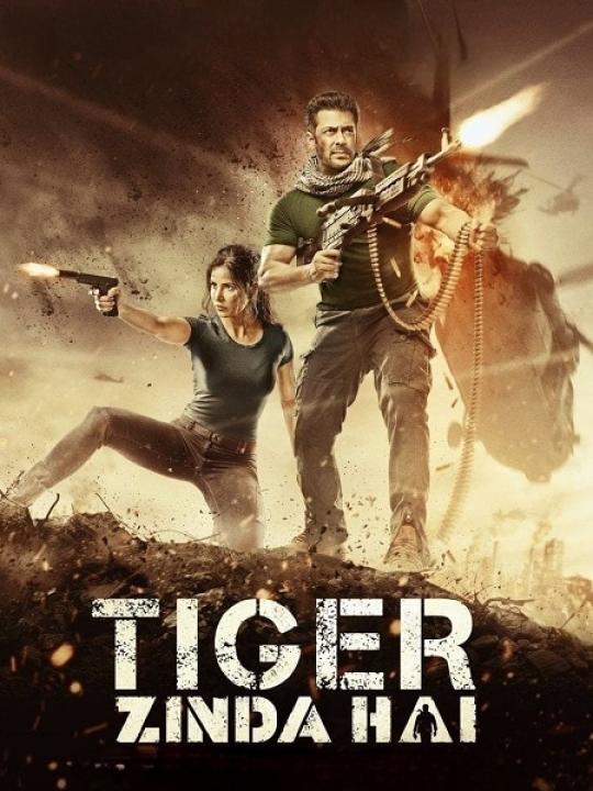 مشاهدة فيلم Tiger Zinda Hai 2 2017 مترجم